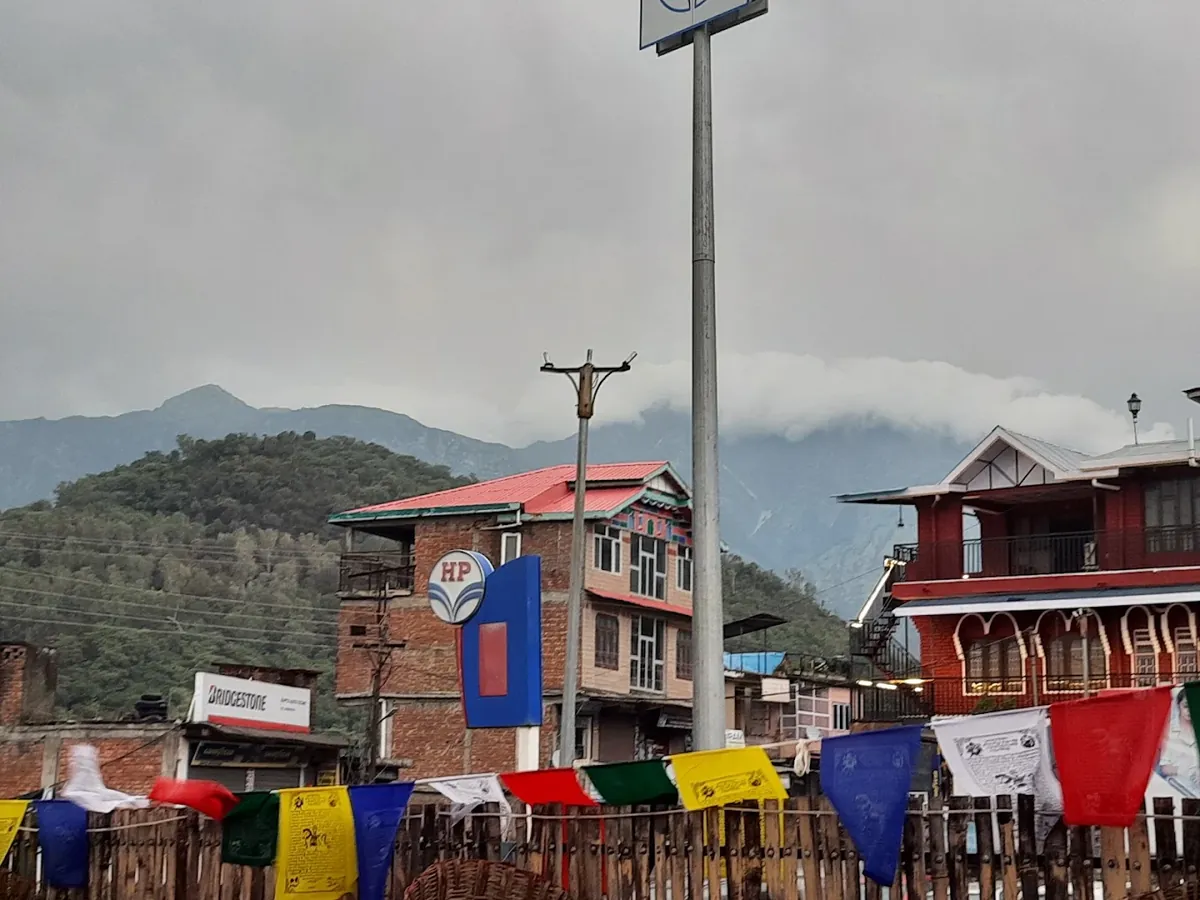 Dhauladhar mountain view from Ching Cafe